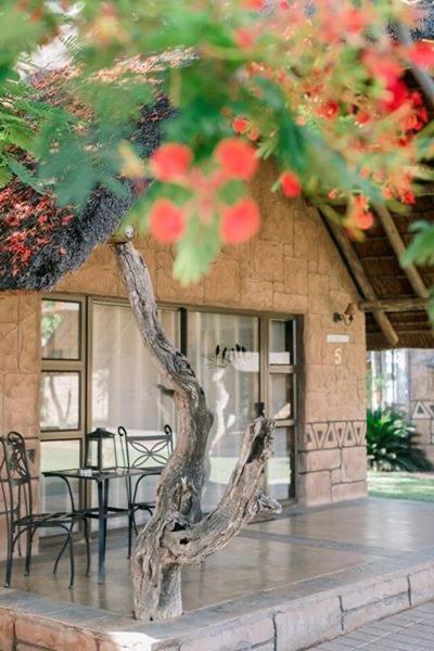 Tshukudiba Game Lodge Tom Burke Dış mekan fotoğraf